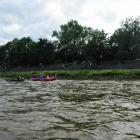 zdjęcie nr 74