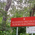 zdjęcie nr 40