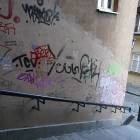 Fotka nr 2 z 12
