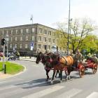 zdjęcie nr 26