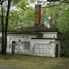 Fotka nr 5 z 7