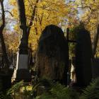 zdjęcie nr 8