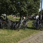 zdjęcie nr 7