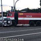 Fotka nr 1 z 3