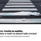 Fotka nr 2 z 3