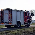 Fotka nr 3 z 5