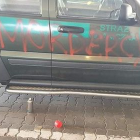 Fotka nr 1 z 2