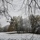 zdjęcie nr 50