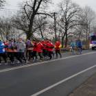 Fotka nr 2 z 4