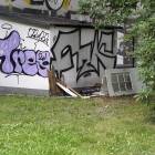 Fotka nr 2 z 3