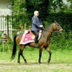 Fotka nr 5 z 23