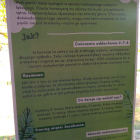zdjęcie nr 23