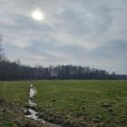 zdjęcie nr 31