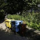 zdjęcie nr 8