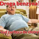 Fotka nr 4 z 7