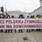 zdjęcie nr 29