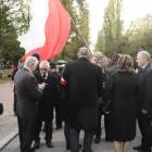 zdjęcie nr 46