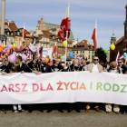 Fotka nr 3 z 138