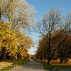 zdjęcie nr 39
