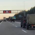 Fotka nr 3 z 11