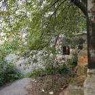 zdjęcie nr 8