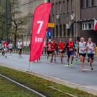 zdjęcie nr 78