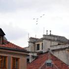 zdjęcie nr 46