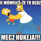 zdjęcie nr 15
