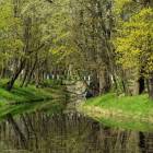 zdjęcie nr 33