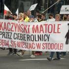 zdjęcie nr 8