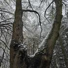 zdjęcie nr 39