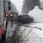 Fotka nr 2 z 12
