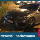 Fotka nr 3 z 5