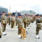 zdjęcie nr 85