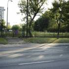 zdjęcie nr 8