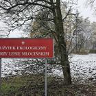 zdjęcie nr 51