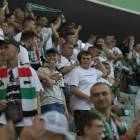 zdjęcie nr 87