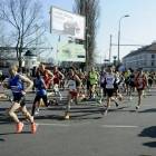 zdjęcie nr 24