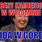 zdjęcie nr 13