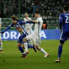 zdjęcie nr 19