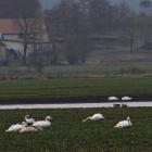 zdjęcie nr 9