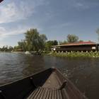 zdjęcie nr 13