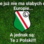 zdjęcie nr 10