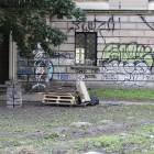 zdjęcie nr 8