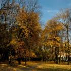 zdjęcie nr 98