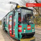 Fotka nr 5 z 6