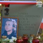 zdjęcie nr 15