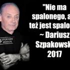 zdjęcie nr 29