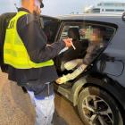 zdjęcie nr 14