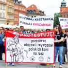 zdjęcie nr 56